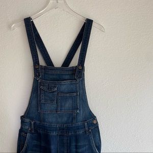 FREE PEOPLE skinny denim overalls SIZE 27